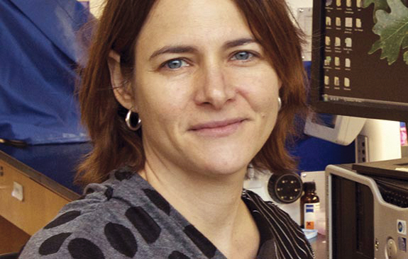 Fournier, Valérie Fournier, Valérie