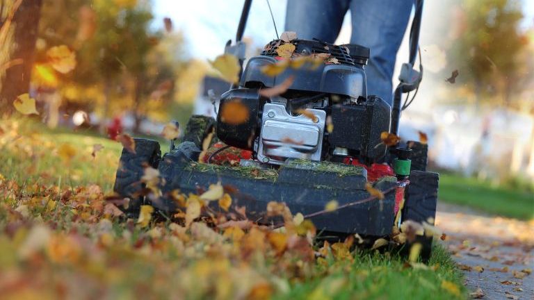 Tondeuse et feuilles automne